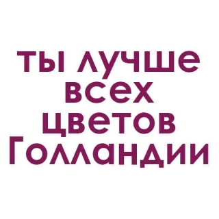 ❤️ 7378be4e ты лучше всех цветов Голландии russisch, text, blumen, holland, kompliment, lila whatsapp sticker