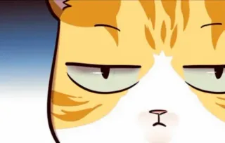 🐈 21ce62eb kat, dier, schattig, meme, grappig, uitdrukking, cartoon, huisdier telegram sticker