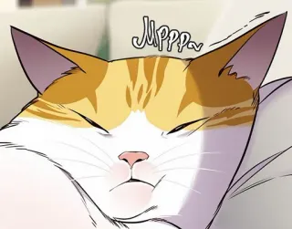 🐈 474646b4 Juuppppov kat, dier, huisdier, slapen, schattig, oranje, wit telegram sticker