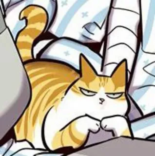 🐈 47d573d6 kat, oranje cyperse kat, dier, slechtgehumeurd, cartoon, grappig telegram sticker