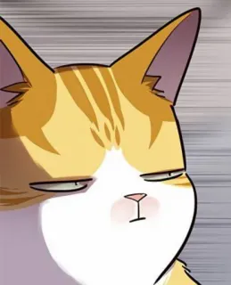 🐈 4dffaef8 kat, dier, huisdier, cartoon, schattig, poesje telegram sticker