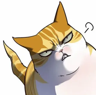 🐈 6eb4652d kat, boos, meme, grappig, huisdier, huiskat, dier, cartoon telegram sticker