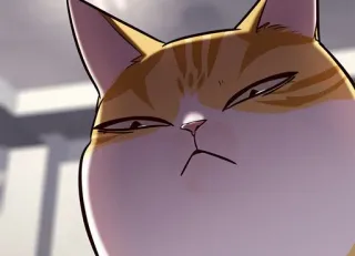 🐈 6f6863e9 kat, oranje kat, dier, huisdier, grappig, meme, sarcastisch telegram sticker