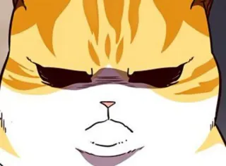 🐈 828e4bb1 kat, boos, meme, cartoon, dier, grappig telegram sticker