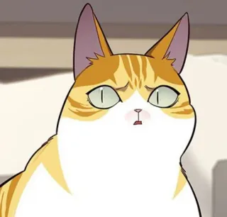 🐈 8a79933a kat, sticker, cartoon, dier, meme, schattig telegram sticker