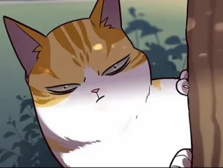 🐈 b3b3fd08 kat, boos, cartoon, huisdier, dier, meme telegram sticker