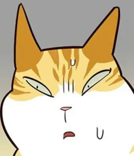 🐈 c903e490 kat, dier, uitdrukking, cartoon, meme, sticker telegram sticker