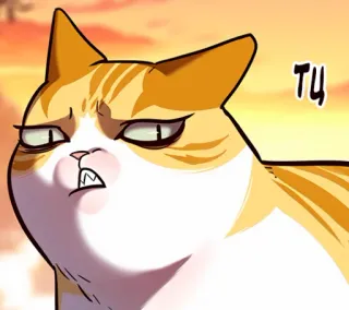 🐈 ec99a431 тц kat, boos, meme, grappig, dier, ontevreden telegram sticker