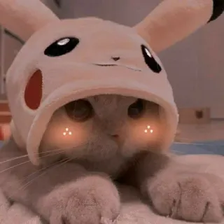 🐾 3eb8599b Pikachu Pokemon 猫, 子猫, ピカチュウ, ポケモン, 可愛い, ペット, 動物 telegram sticker