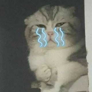 🐾 d9870f80 猫, 泣く, 悲しい, ミーム, 動物, 涙 telegram sticker
