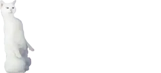 👀 56318601 gato, animal, gato blanco telegram sticker