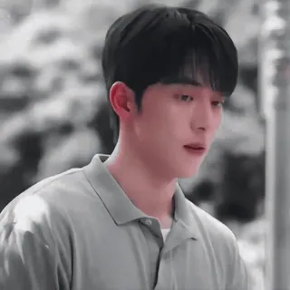 🦩 80c4eb5e telegram sticker