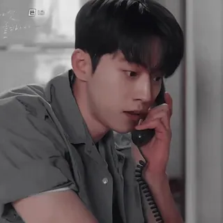 🦩 d64a4e52 telegram sticker