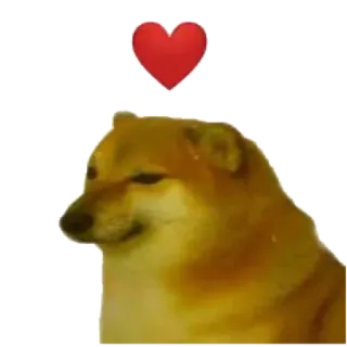 Doge meme @Anime_Gaming_Chat_Global telegram stickers