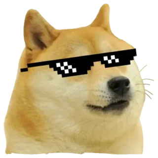 🐕 03d3a4a7 Doge doge, hond, meme, zonnebril, deal with it telegram sticker