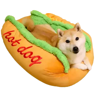 🌭 32d0cf12 hot dog hond, hotdog, huisdier, schattig, shiba inu, grappig telegram sticker