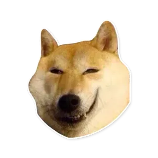 😁 a61432cd Doge hond, shiba inu, meme, grappig, dier, huisdier telegram sticker
