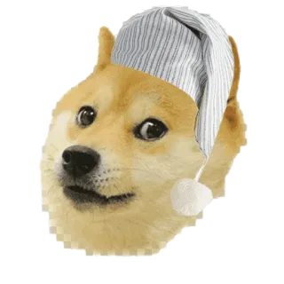 🥱 e106f143 Doge hond, shiba inu, slaap, slaapmuts, slaperig, schattig, meme telegram sticker