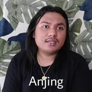 😭 97b88b0b Anjing 人物, 肖像, 文本, 印尼俚语 telegram sticker