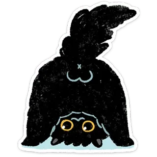 🙃 69ca5602 검정, 털, 생물, 귀여운, 눈 telegram sticker