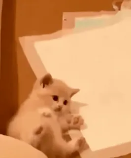 кекеке :: @fStikBot telegram stickers