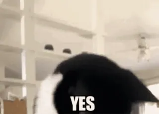 😁 8345d153 YES affirmation, accord, positif, oui, confirmation, approbation telegram sticker