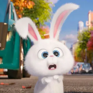 🐾 701c6bcf Snowball The Secret Life of Pets królik, zajączek, biały, zwierzę, kreskówka, zwierzak whatsapp sticker