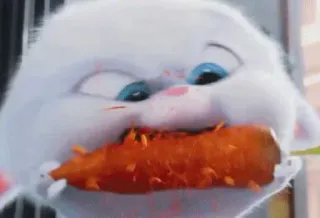 🐾 d5d60545 Snowball The Secret Life of Pets królik, marchewka, słodki, animowany, film whatsapp sticker