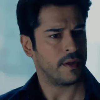 🤵 09bd71d5 telegram sticker