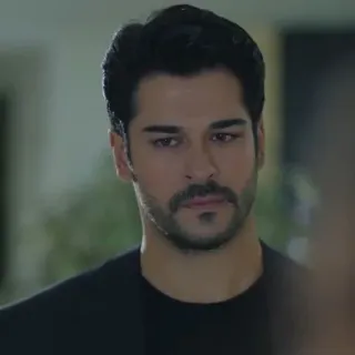 🤵 1d67ecdb telegram sticker