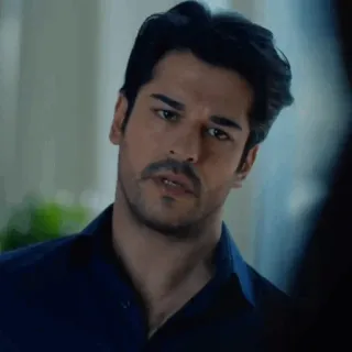 🤵 71db846d telegram sticker