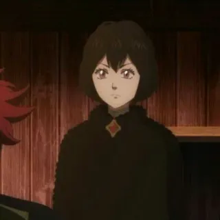 🔪 77dfeb5b Secre Swallowtail Black Clover 애니메이션, 블랙 클로버, 세크레 제비꼬리, 네로 telegram sticker