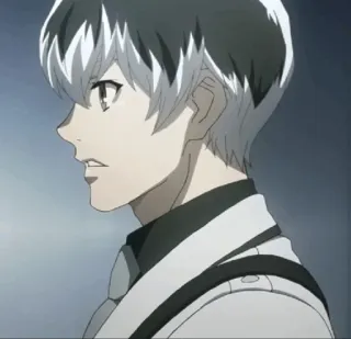 🥀 31c3f696 Ken Kaneki Tokyo Ghoul Anime, Personaje, Retrato, Perfil, Pelo blanco, Ken Kaneki, Tokyo Ghoul telegram sticker