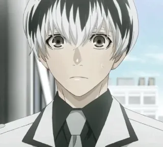 🥀 c308a040 Haise Sasaki Tokyo Ghoul Anime, Manga, Ghoul, Personaje, Tokyo Ghoul, Haise Sasaki telegram sticker