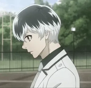 🥀 f09fdf7e Anime, Personaje, Pelo Blanco, Manga, Chico, Chico Anime telegram sticker