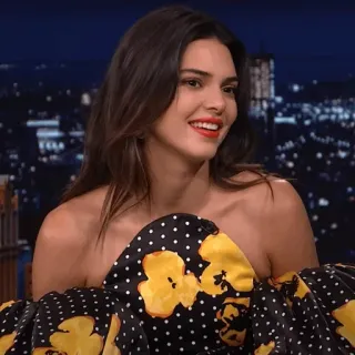 🤍 5bab0bba Kendall Jenner 켄달 제너, 모델, 유명인, 여성, 미소, 인물 사진, 사람 telegram sticker