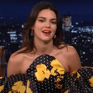 🤍 e1f06ef1 Kendall Jenner 켄달 제너, 유명인, 모델, 여자, 인물 사진 telegram sticker