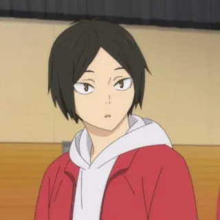 🏐 96bc6422 Kozume Kenma Haikyuu!! Anime, Chico, Cabeza de pudín, Kenma, Voleibol whatsapp sticker