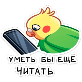 🤨 445e3727 УМЕТЬ БЫ ЕЩЁ ЧИТАТЬ nimfa, ptak, czytanie, telefon, naklejka, kreskówka, słodki, papuga telegram sticker