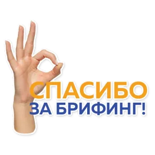👍 9a8763a9 СПАСИБО ЗА БРИФИНГ! 俄语, 谢谢, 手势, OK手势, 感谢, 简报 telegram sticker