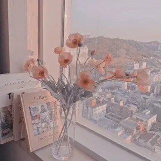 ✨ fc45f361 In Paris flores, libro, ventana, ciudad, París, viajes whatsapp sticker