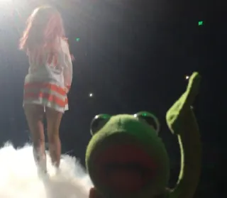 🎙 25a07476 Kermit Kermit la grenouille, Muppet, doigt d'honneur, offensant telegram sticker