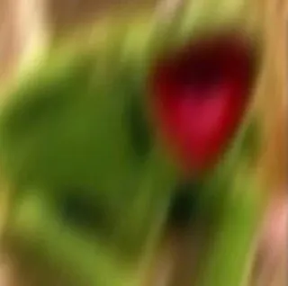 👺 27473a05 telegram sticker