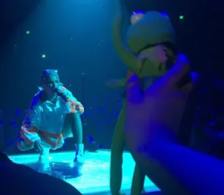 Kermit la rana telegram stickers