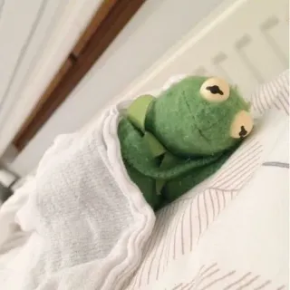 💤 a7deb61a Kermit kermit, grenouille, mème, dormir, lit telegram sticker