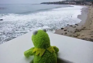 ♥️ da7e71f7 Kermit kermit, grenouille, plage, océan, muppets telegram sticker