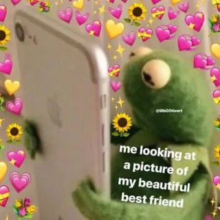 🥰 eee42b4d Kermit me looking at a picture of my beautiful best friend mème, kermit, amitié, amour, coeurs, mignon telegram sticker