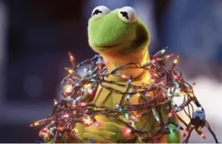 🎄 3164ddb4 Kermit Kermit, frog, Christmas lights, Muppets, cartoon character telegram sticker