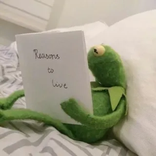 📖 2c67e778 Kermit Reasons to live 커밋, 삶의 이유, 밈, 동기 부여, 개구리, 힘이 나는, 희망 whatsapp sticker