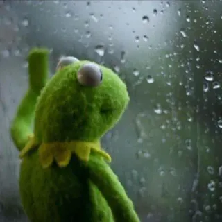 😪 3924837f Kermit 커밋, 개구리, 슬픔, 비, 창문, 밈 whatsapp sticker